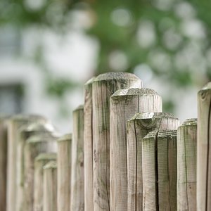 pexels-pixabay-48246.jpg